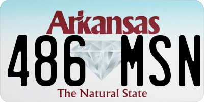 AR license plate 486MSN
