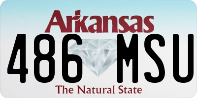 AR license plate 486MSU
