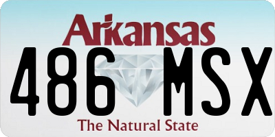 AR license plate 486MSX
