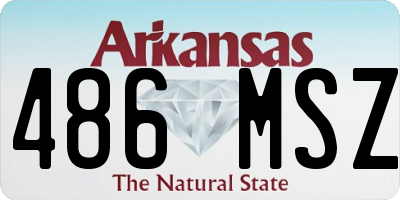 AR license plate 486MSZ