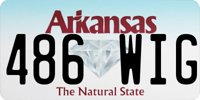 AR license plate 486WIG