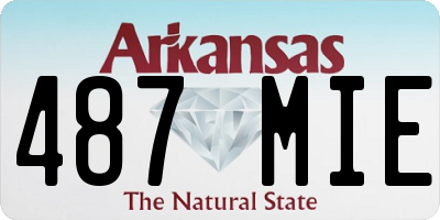 AR license plate 487MIE