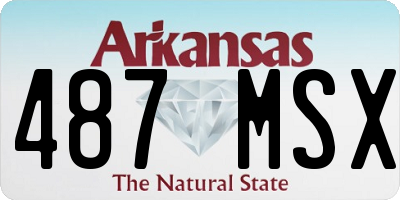 AR license plate 487MSX