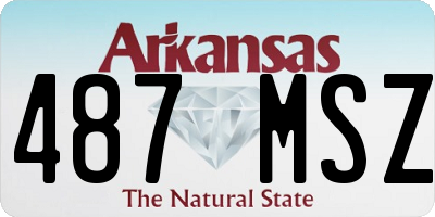 AR license plate 487MSZ
