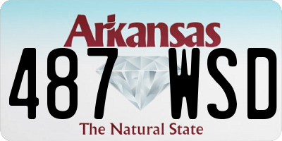 AR license plate 487WSD