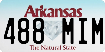 AR license plate 488MIM