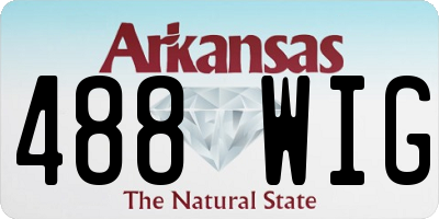 AR license plate 488WIG