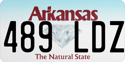 AR license plate 489LDZ