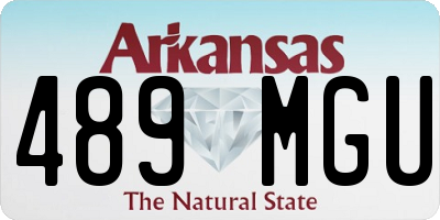 AR license plate 489MGU