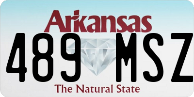 AR license plate 489MSZ