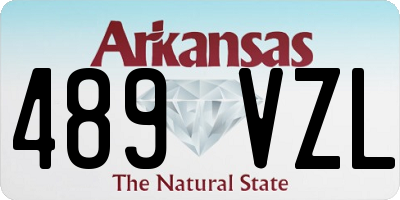 AR license plate 489VZL