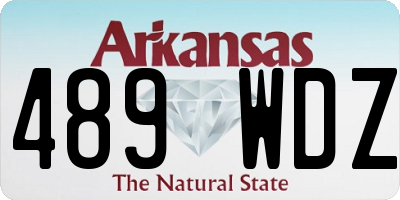 AR license plate 489WDZ