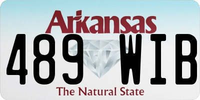 AR license plate 489WIB