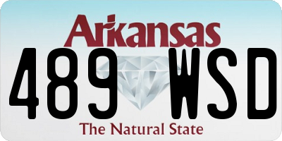 AR license plate 489WSD