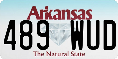AR license plate 489WUD