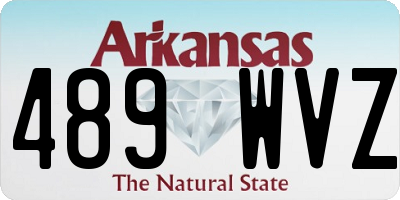 AR license plate 489WVZ