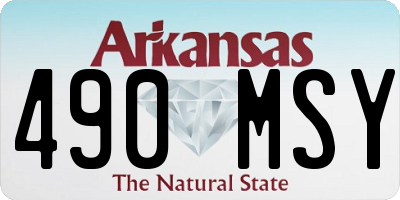 AR license plate 490MSY