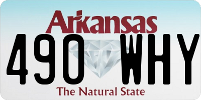 AR license plate 490WHY