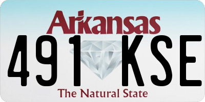 AR license plate 491KSE