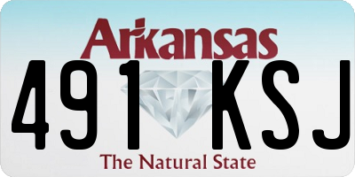 AR license plate 491KSJ