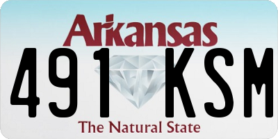 AR license plate 491KSM