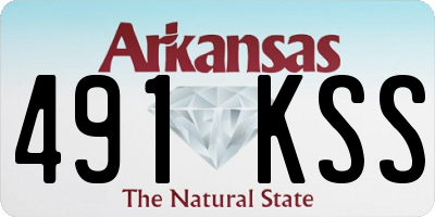 AR license plate 491KSS