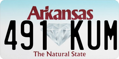AR license plate 491KUM