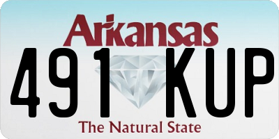 AR license plate 491KUP