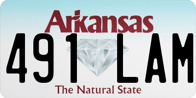 AR license plate 491LAM