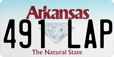 AR license plate 491LAP