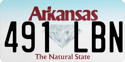 AR license plate 491LBN