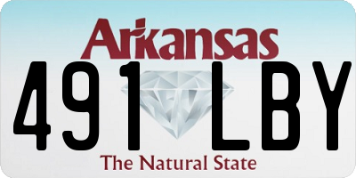 AR license plate 491LBY