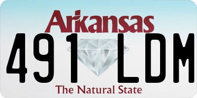 AR license plate 491LDM