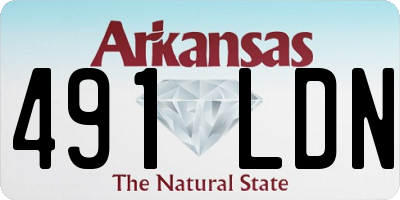 AR license plate 491LDN