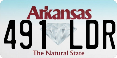 AR license plate 491LDR