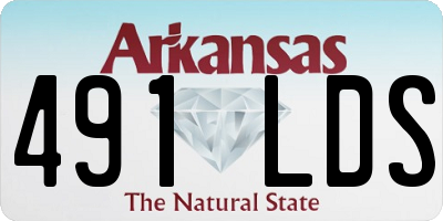 AR license plate 491LDS