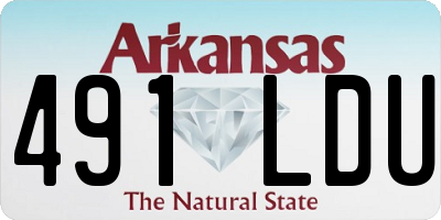 AR license plate 491LDU