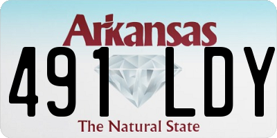 AR license plate 491LDY