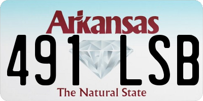 AR license plate 491LSB