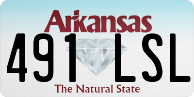 AR license plate 491LSL