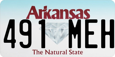 AR license plate 491MEH