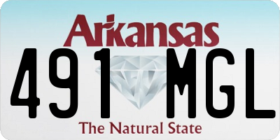 AR license plate 491MGL