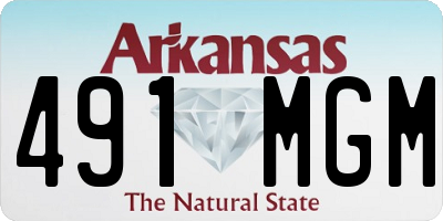 AR license plate 491MGM