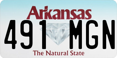 AR license plate 491MGN
