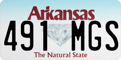 AR license plate 491MGS