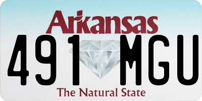 AR license plate 491MGU