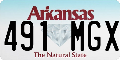 AR license plate 491MGX