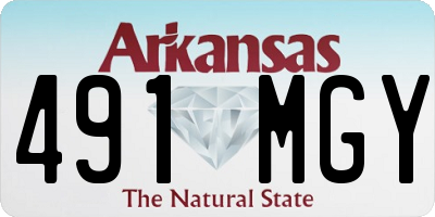 AR license plate 491MGY