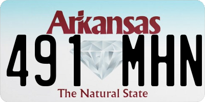 AR license plate 491MHN