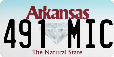 AR license plate 491MIC